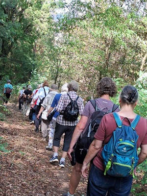 den Rabenweg runter