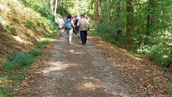 Meist moderate Wege 6 km