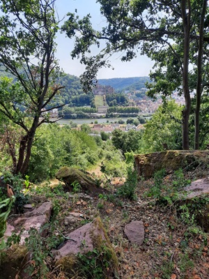 Blick nach drüben vom Spessart zum Odenwald