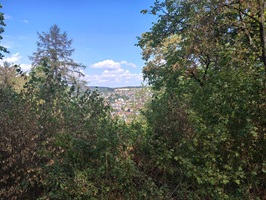Blick vom Schattenplatz Richtung Karl-Weber-Platz