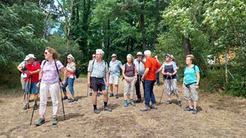 Blick zur Wertheimer Burg