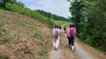 Eintritt zu Himmelreich von Kreuzwertheim kommend