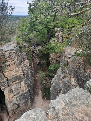 Mitten in den Hessigheimer Felsen