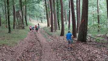 Recht steiler Waldweg nach unten, Nähe Galgenberg