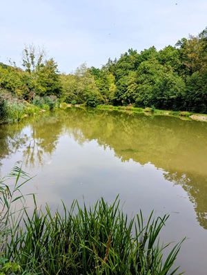 Der Lochbachsee Höpfingen